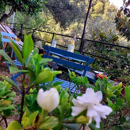 B&B I Glicini Vescina Exterior foto